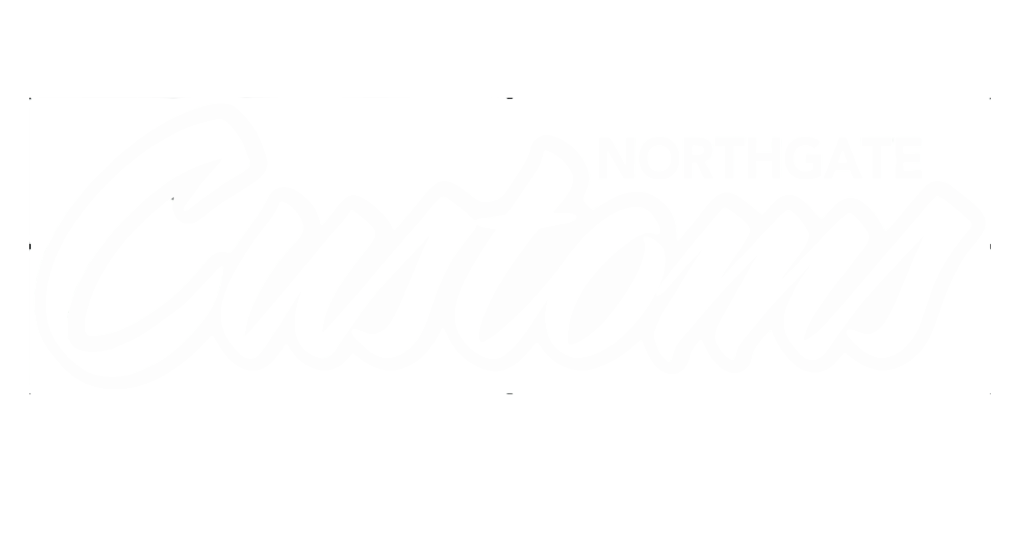 DVSN Logo